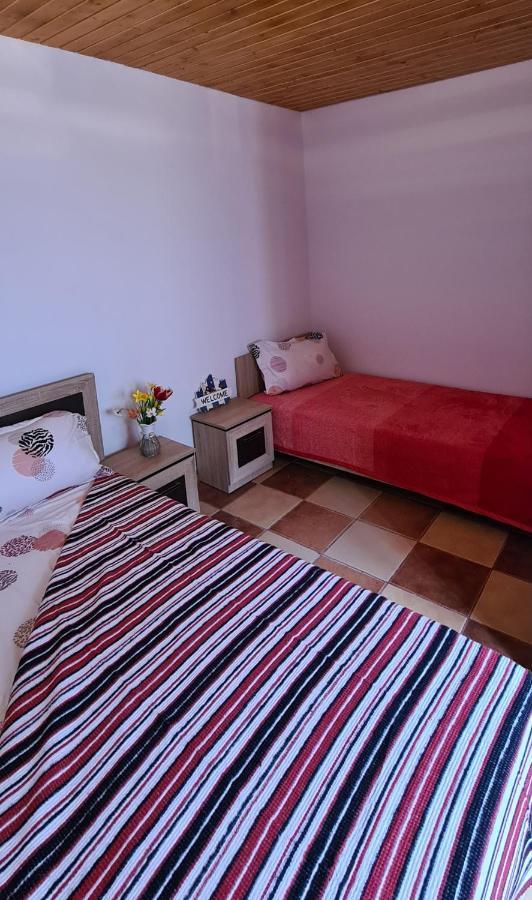 Casa Roko Hotel Sfântu Gheorghe Eksteriør billede
