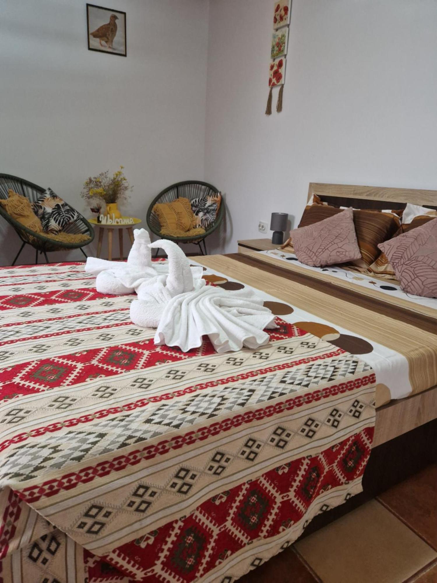Casa Roko Hotel Sfântu Gheorghe Eksteriør billede